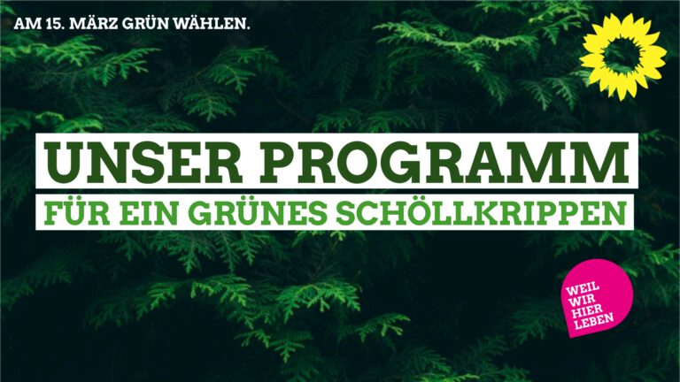 Unser Gemeinderatsprogramm 2020